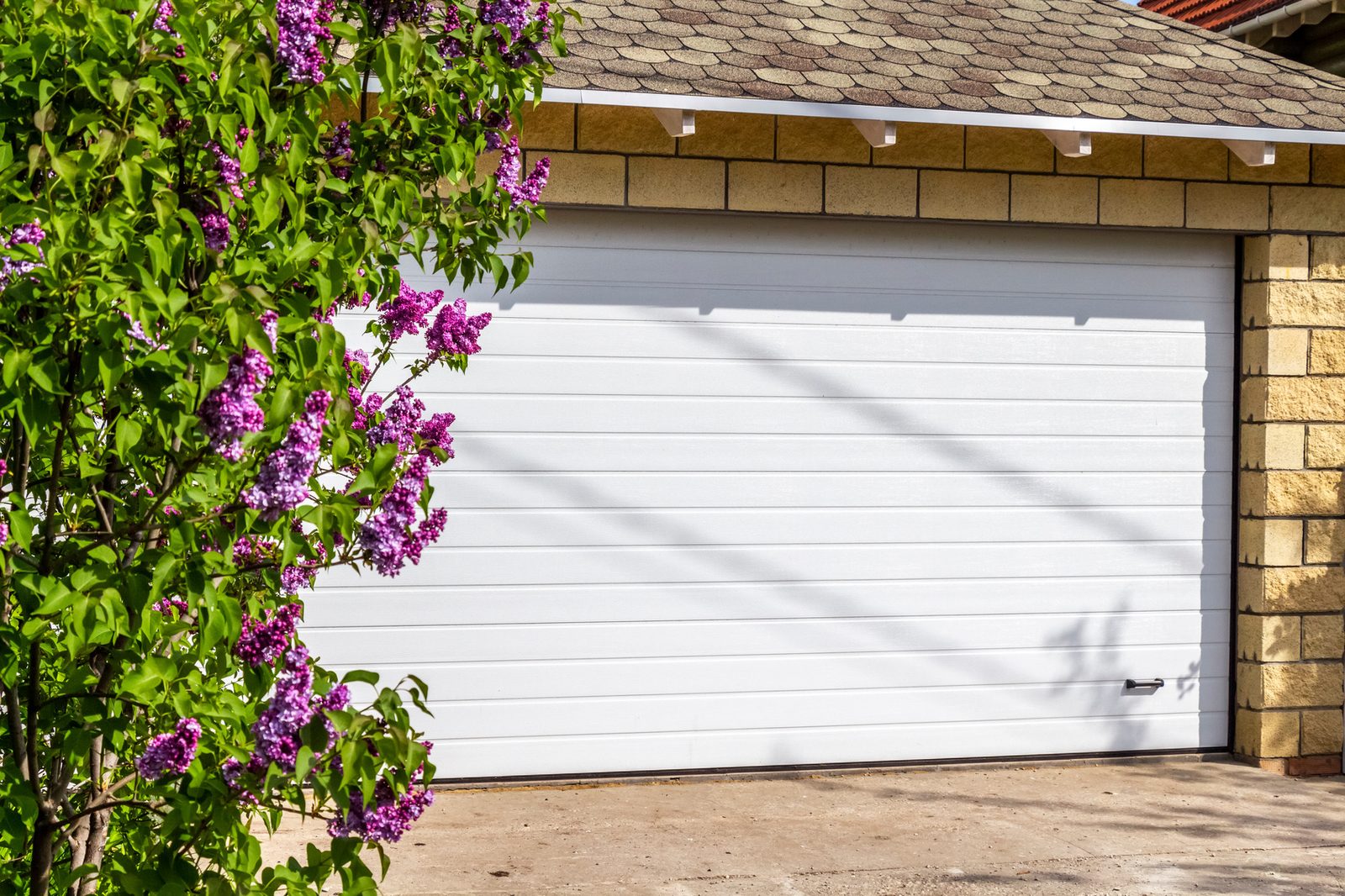 White garage door beside blooming lilac bushes